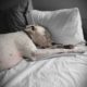 Sweet Slumber & Your Connection to Better Sleep
